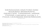 PADA CEKAMAN KEKERINGAN PAGAR (Jatropha curcas L.) …eprints.umm.ac.id/55316/19/Similarity - Maftuchah Fahmi... · 2019. 11. 14. · 0,06 0,05 0,04 0,03 0,02 0,01 Klorofil a -180ktober