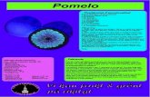 New Pomelo - Hem · 2018. 11. 1. · Pomelo, heter egentligen pompelmus som kommer från tamilskans pampa limāsu, som även gett upphov till fruktens namn på nederländska, tyska
