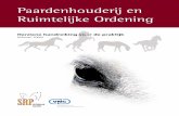 Paardenhouderij en Ruimtelijke Ordening · Herziene handreiking voor de praktijk (februari 2009) VNG Vereniging van Nederlandse Gemeenten SECTORRAAD PAARDEN Paardenhouderij en Ruimtelijke