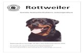 Rottweiler - SKK HemRottweiler Svenska Rottweilerklubbens raskompendium Raskompendium framtag et till SBK:s Exteriördomarkonferens 2019. FCI-nummer 147. FCI-standard på tyska publicerad