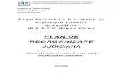 PLAN DE REORGANIZARE JUDICIARĂ - Romania Film · PLAN DE REORGANIZARE A ACTIVIT ĂȚII R.A.D.E.F. RomâniaFilm Societate în insolven ță, in insolvency, en procedure collective