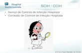 SCIH / CCIH · MÃOS Enfª Ana Paula Metedieri de Oliveira Manter as mãos limpas pode evitar uma série de infecções e salvar vidas. De acordo com a Organização Mundial da Saúde,