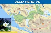 DELTA NERETVE - EastAgri NERETVE HR... · 2017. 9. 13. · DELTA NERETVE Zaštita predviđena u strateškim dokumentima koje je donio Sabor Republike Hrvatske: Nacionalnoj strategiji