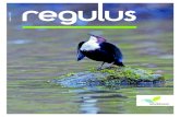 | 2013 Regulus n°1 natur&ëmwelt a.s.b.l. Jahresbericht 2012 · 2016. 6. 13. · 6 regulus 1 | 2013 natur&ëmwelt / lnvl Jahresbericht 2012 Natura Letzte Generalversammlung am 13.3.2012