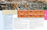 Faszination Indien - GEO Reisen€¦ · Faszination Indien Lord Krishna, Tiger und Geschichte Das Goldene Dreieck – die Städte Delhi, Agra und Jaipur vermitteln faszinierende Einblicke