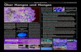 6 Aktuelle Nachrichten Über Mangos und Mangaspdf.kanarenexpress.com/178/pdf/kanaren_express_006.pdf · Über Mangos und Mangas Rezeptbar – Kochen und genießen mit Mangos Die Mango