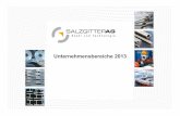 Unternehmensbereiche 2013 - Salzgitter AG · • UP-längs- und spiralnahtgeschweißte Großrohre für Transkontinental- und Tiefseepipelines • Rohrbeschichtungs-Aktivitäten in