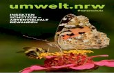 umwelt.nrw – Insekten schützen – Artenvielfalt bewahren · stellvertretend für die ca. 350 Wild bienenarten in NRW, denen aufgrund ihrer großen Bestäubungsleistung auch eine