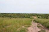 8 Strategies de conservation de la · biodiversité au Burkina Faso Biodiversity conservation strate-gies in Burkina Faso Le Burkina Faso en réponse aux obligations internationales,