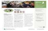 Teijo - Etusivu | julkaisut.metsa.fi · 10 000 kpl Teijon kansallispuisto Teijo National Park • Perustettiin / established 1.1.2015 • Pinta-ala noin/total area about 34 km2 •