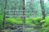 PowerPoint プレゼンテーション · Former Japanese Forest and the History of Forest Rehabilitation Former Japanese Forest Situation ・ Influence of forest devastation brought