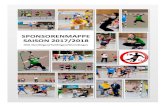 SPONSORENMAPPE SAISON 2017/2018 - HSG NTW€¦ · HSG Nendingen/Tuttlingen/Wurmlingen — — HSG NTW 2 Nachdem wir aus der 2009 gegründeten Jugendspielgemeinschaft JSG Nendingen/Tuttlingen