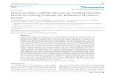 Genome-Wide lncRNA Microarray Profiling Identifies Novel ... · 0.016), indicating its ability to monitor tumor dynamics. High values of the lncRNA-based index were correlated with