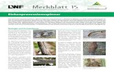 LWF-Merkblatt Nr.38, Feinerschließung€¦ · LWF-Merkblatt Nr.38, Feinerschließung Author: Bayerische Landesanstalt für Wald und Forstwirtschaft Subject: Juni 2018 Created Date: