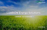 LAMBION Energy Solutions - Wvterm€¦ · Pneumatische Förderanlagen Mehrfach-schnecken-beschicher Hydr. Einschub Luftgekühlte Vorschubrost-feuerung Ringbrenner-feuerung (Stäube)
