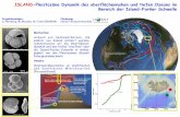 ISLAND-Pleistozäne Dynamik des oberflächennahen und tiefen ...€¦ · die Island-Faröer-Schwelle in Abhän-gigkeit von den Pleistozänen Glazial/ Interglazialwechseln. Ansatz