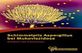 Schimmelpilz Aspergillus bei Mukoviszidose€¦ · Aspergillus bei Mukoviszidose Aspergillus fumigatus ist ein Fadenpilz, der überall in der Umwelt vorkommt. Bei Men-schen mit Mukoviszidose