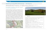 Schlossweg Werdenberg – Sargans · 12 Massstab 1: 200,000 Geodaten © swisstopo (5704000138) 0 2 4 6km Geodaten © swisstopo (5704000138) SchweizMobil wird unterstützt durch: