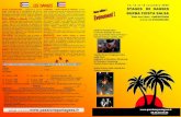 LES DANSES… LES DANSES … - Passions Partageespassionspartagees.fr/uploads/2009_stages_fiestas_salsa_lamperthei… · SALSA CUBAINE & ORISHAS :A la salsa cubaine, Yoannis intégrera