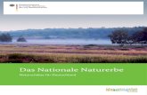 Das Nationale Naturerbe - Naturstiftung David€¦ · DAS NATIONALE NATURERBE Naturschätze für Deutschland. 7. Der Eiserne Vorhang trennte Europa und Deutsch-land zwischen 1945