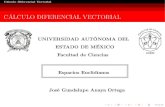 Cálculo Diferencial Vectorial · Cálculo Diferencial Vectorial VectoresenelespacioTridimensional Laecuacióndeunarectalquepaseporelpuntoﬁnaloextrema elvectora,conladireccióndeunvectorv.