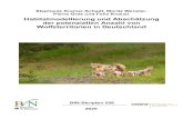 Habitatmodellierung und Abschätzung der potentiellen ...€¦ · Flora-Habitat Richtlinie). Gemäß Bundesnaturschutzgesetz wird der Wolf in Deutschland als streng geschützte Art