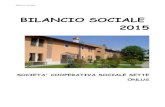 BILANCIO SOCIALE 2015 - Comunità Il Molino nuovi/BilancioSociale2015.pdf · Bilancio Sociale 2015 6 SOCIETA' COOPERATIVA SOCIALE SETTE ONLUS 1.2 Metodologia Il gruppo che ha partecipato