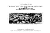Gewerkschaften im Oberwesterwaldgewchronik.mmk-online.eu/pdf/gewerkschaftenoww.pdf · Dreisbach (Zinkerze) sowie die Felder „Nassau & Füllhorn“ und „Erbach & Nassau“, auch