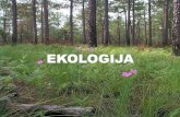 EKOLOGIJAbiologija.vet.bg.ac.rs/Katedra/Zoologija/(10)EKOLOGIJA2.pdf · klima jednog ekosistema . EDAFSKI FAKTOR – zemljište, stene, pedološka podloga. OROGRAFSKI FAKTOR - nadmorska