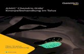 AMIC Chondro-Gide Knorpelbehandlung im Talus€¦ · AMIC Chondro-Gide beruht auf über 10 Jahren klinischer Erfahrung und ist eine wirksame und kosteneffiziente Technik8 zur Reparatur