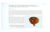 Symphorionte Wimpertiere (Protozoa, Ciliophora) auf Großen ...homepage.univie.ac.at/erich.eder/UZK/buch/059.pdf · Ciliophora) auf Großen Kiemenfußkrebsen (Crustacea, Branchiopoda)