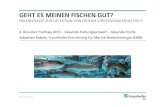 GEHT ES MEINEN FISCHEN GUT?€¦ · © Fraunhofer EMB Zusammenfassung und Ausblick schnelles Testsystem zur Überwachung der Fischgesundheit vorteilhaft für Züchter und Veterinäre
