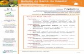 N°3 Pépinière - Chambre d'agriculture - Occitanie · Bulletin de Santé du Végétal Grand Sud-Ouest Horticulture /Pépinière – N°3 du 19 juillet 2019 1/17 ASTREDHOR Sud Service
