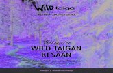 Wild Taigan alueella majoitut mukavasti joko HOSSASTA€¦ · ja nauti hyvästä ruoasta Wild Taigan alueella majoitut mukavasti joko tai heinäladossa keskellä luonnon rauhaa. Alueen