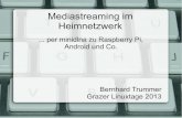 Mediastreaming im Heimnetzwerk · Mein Heimnetzwerk FritzBox WLAN Soekris net5501 PC Raspberry Pi Samsung Galaxy Tab (Dreambox DM500, Nokia N900)