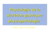 Physiologie de la sécrétion gastrique- physiopathologiedcem1p7.free.fr/Hepato-gastro/physio gast vffF.pdf · gastrique acide et ses mécanismes de régulation Stimulation indications