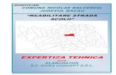 EXPERTIZA TEHNICA · beneficiar: comuna nicolae balcescu, judeŢul bacau “reabilitare strada scolii” expertiza tehnica - 2018 - elaborator s.c. iuvex concept s.r.l.