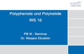 Polyphenole und Polyketide WS 16 - uni-duesseldorf.de · Flavonoide 40 Knollenblätterpilzvergiftung Intoxikation mit Amatoxinen (Letalität Erw.: 10-20 %, Kinder: 50 %) • Hemmung