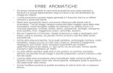 ERBE AROMATICHE - Biodinamicabiodinamica.org/.../Langolo-delle-aromatiche-e-delle-medicinali.pdf · bene con piante medicinali. L'assenzio respinge l'altica (H. nemorum). Respinge