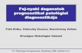 Országos Onkológiai Intézet - PuzzlePix · A HPV pozitív laphámrákok a szájüregből 67. Pathologus Kongresszus, Keszthely, 2008. október 9-11. tonsilla Oropharynx tumorok