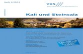 Kali und Steinsalz - vks-kalisalz.de · particular difficulties to public authorities and why the desires of the authorities were subject of sev-eral legal measures in the past. The