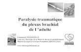 Paralysie traumatique du plexus brachial de l ’adulteancien.cofemer.fr/UserFiles/File/SNP9PlexusBrachial.pdf · 1 Paralysie traumatique du plexus brachial de l ’adulte Emmanuel
