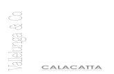 Vallelunga & Co. · V&Co._8 Muro Wall Calacatta 60x60 - 30x60 - 7,5x30 - Matita 1,5x30 - Torello 3,5x30 - Listello Mosaico 2x30 V&Co._9 Pavimento Floor Calacatta 30x30