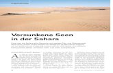 Versunkene Seen in der Saharaamscimag.sigmaxi.org/4Lane/ForeignPDF/2006-01WhiteGerman.pdf · 46 Spektrum der WiSSenSchaft Q September 2006 Von Kevin White und David J. Mattingly A