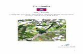 Cambodia - DOF Februar-Marts 2017.pdf · PDF file endemiske arter (Cambodian Tailerbird) og 5 af de truede arter (Milky Stork, White-shouldered Ibis, Giant Ibis, Green Peafowl og