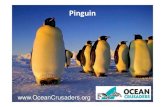 11th Lesson Penguins.ppt Bahasa - Compatibility Modeoceancrusaders.org/lessons/Indonesia/11th Lesson Penguins Bahas… · Pinguin memiliki indera pendengaran rata-rata untuk burung;