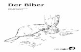 200354 UH Biber - Pro Natura · Unterlagen zu diesem Tier erhalten. Die vorliegende Unterrichtshilfe ergänzt das beiliegende Pro Natura Magazin spezial zum Biber vom September 1997