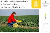 Schaderregerüberwachung in Sachen-Anhalt: Nutzen für die ... · Übersicht 29.01./05.02.2020 Fachseminare Pflanzenschutz im Ackerbau 2020 1 •Rechtsgrundlage und Zuständigkeit