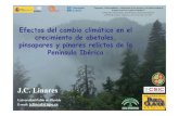 LINARES - Ministerio para la Transición Ecológica y el ... · Efectos del cambio climático en el crecimiento de abetales, pinsapares y pinares relictos de la Península Ibérica