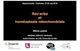 Rev-erbα et homéostasie mitochondrialemeetochondrie.fr/meetochondrie/IMG/pdf/lancel.compressed.pdf · Rev-erbα et homéostasie mitochondriale Steve Lancel INSERM UMR1011 (B Staels)